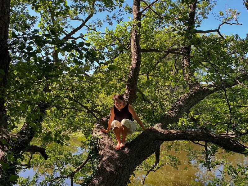 Thumbnail of p-dmltirjnhia-7a99a44f04b649a1 5