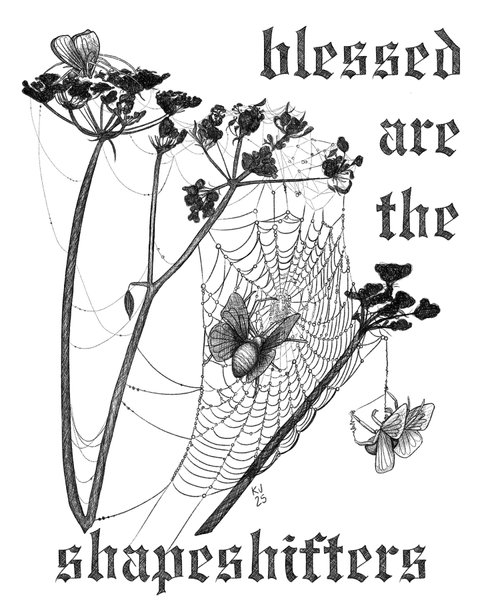 Thumbnail of 8r-iewi-7abd1dfe3bd54cc7 0