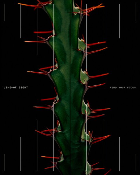 Thumbnail of p-dflbo7kxdks-7abd655f456b483f 10