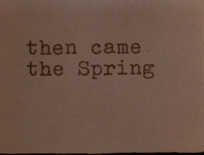 Thumbnail of www-instagram-com-p-dhlsnymt-dv-img-index-4 0