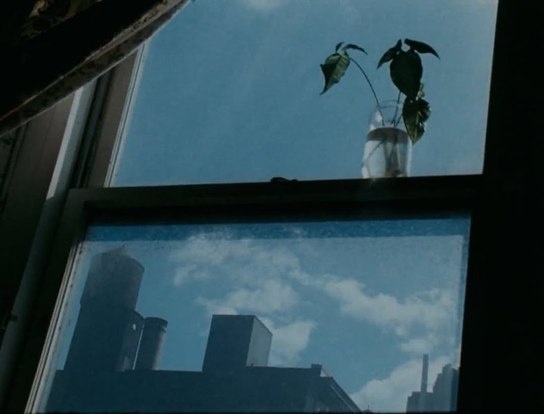 Thumbnail of www-instagram-com-p-dhlsnymt-dv-img-index-4 1