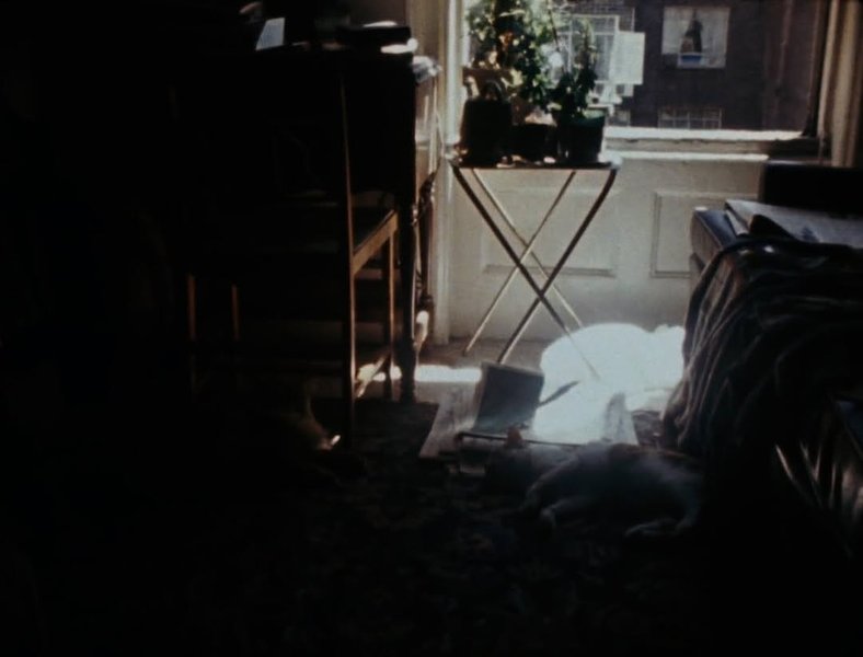 Thumbnail of www-instagram-com-p-dhlsnymt-dv-img-index-4 12