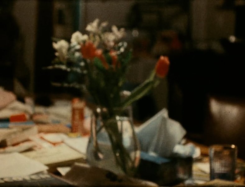 Thumbnail of www-instagram-com-p-dhlsnymt-dv-img-index-4 14