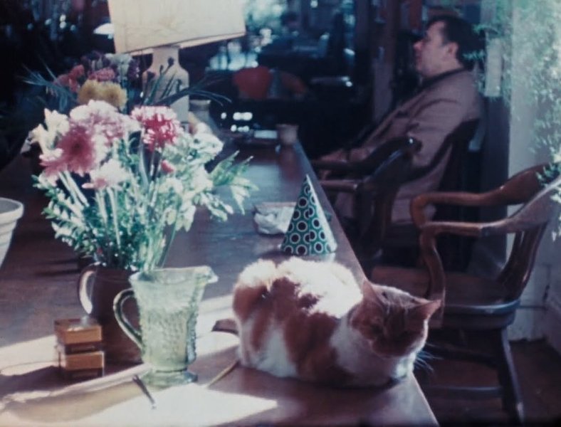 Thumbnail of www-instagram-com-p-dhlsnymt-dv-img-index-4 15