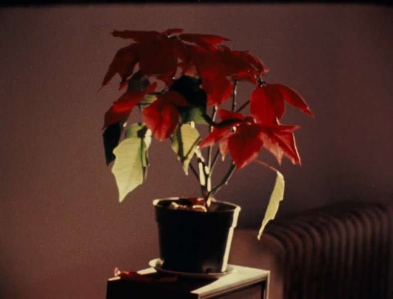 Thumbnail of www-instagram-com-p-dhlsnymt-dv-img-index-4 17