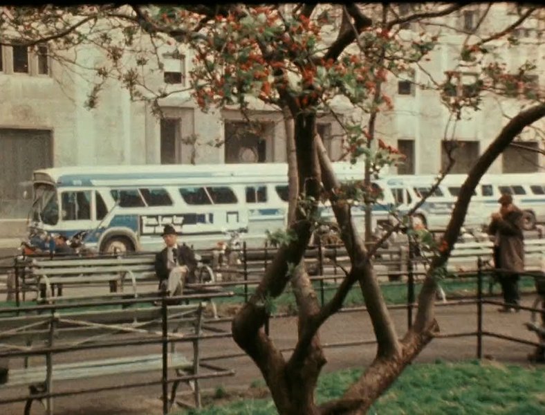 Thumbnail of www-instagram-com-p-dhlsnymt-dv-img-index-4 18