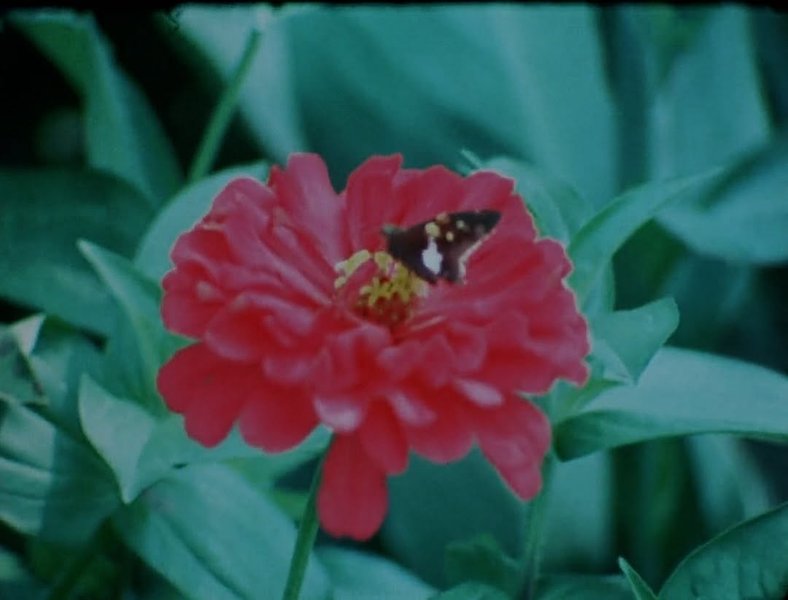 Thumbnail of www-instagram-com-p-dhlsnymt-dv-img-index-4 2