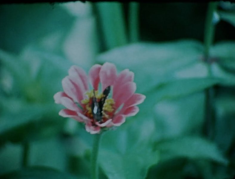 Thumbnail of www-instagram-com-p-dhlsnymt-dv-img-index-4 3