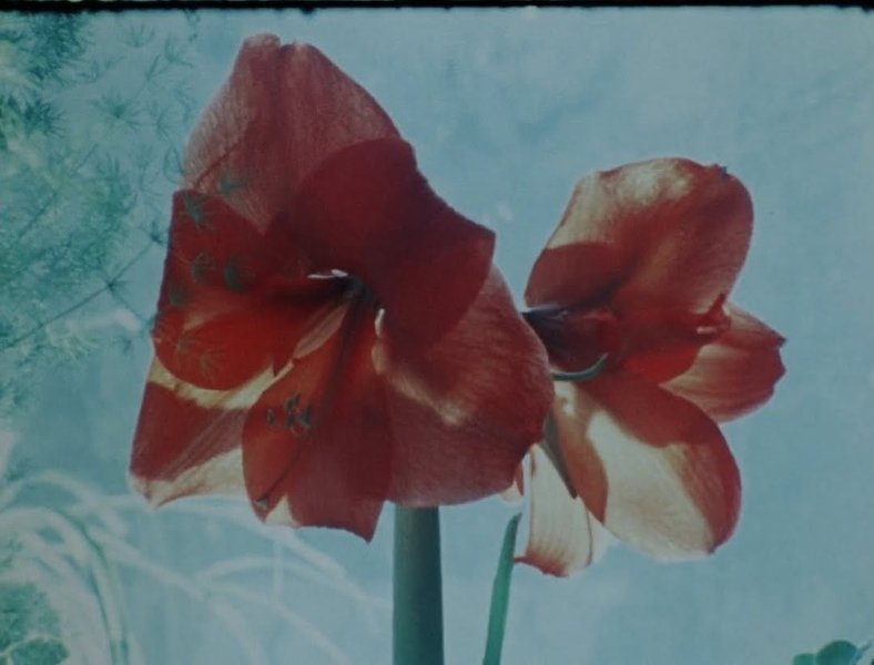 Thumbnail of www-instagram-com-p-dhlsnymt-dv-img-index-4 4