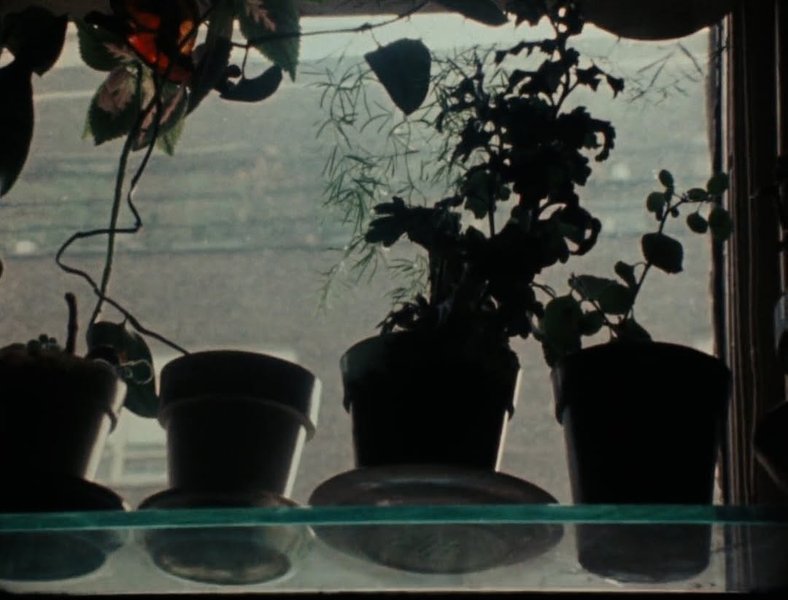 Thumbnail of www-instagram-com-p-dhlsnymt-dv-img-index-4 7