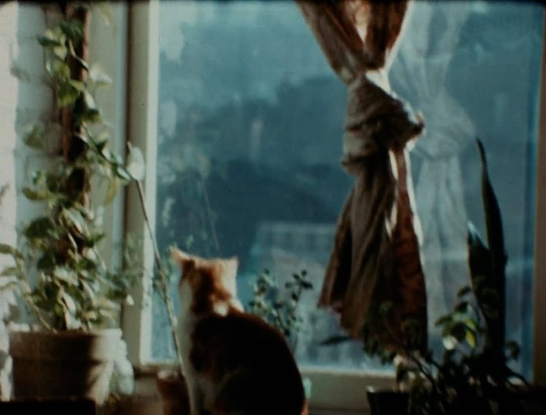 Thumbnail of www-instagram-com-p-dhlsnymt-dv-img-index-4 9