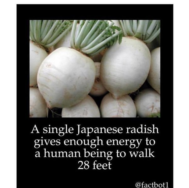 Thumbnail of p-bs3l60qaksv-7ad91c761f394601 0