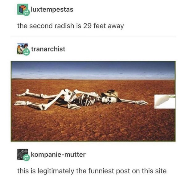 Thumbnail of p-bs3l60qaksv-7ad91c761f394601 1