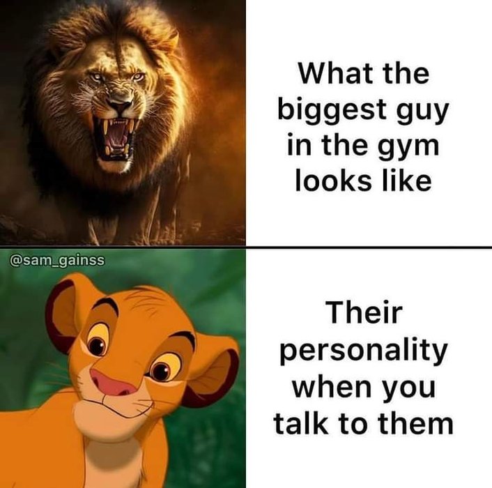 Thumbnail of www-x-com-high-t-memes-status-1704967397025730627-7b0708402cd14a58