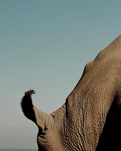 Thumbnail of cnsswyul7-v-7b2bfa16f03a4f93 0