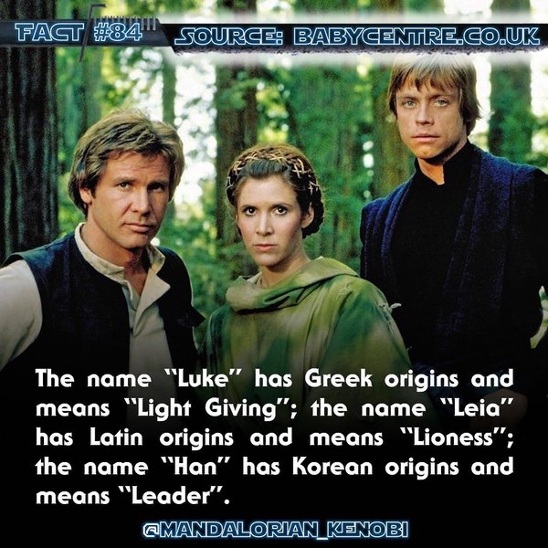 Thumbnail of p-b7hsfjdghzo-7b4426040d1f4e56 0