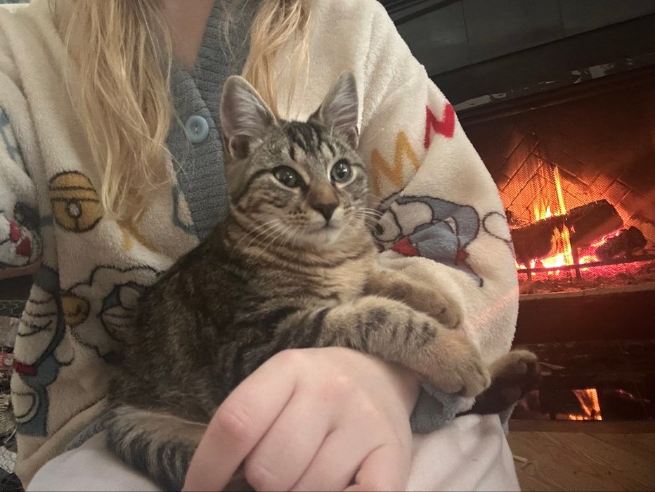 Thumbnail of www-x-com-spittingclots-status-1982144479428837563