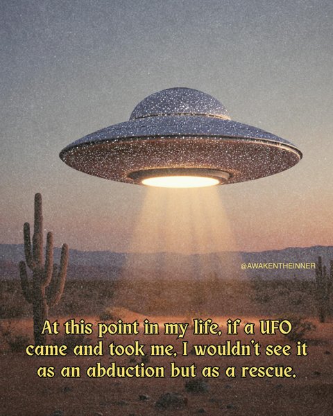 Thumbnail of p-dntcxgjuipq-7b47d01353324c80 4