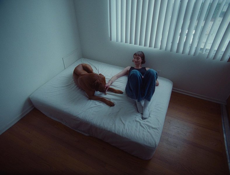 Thumbnail of p-ceo7pbtptdd-7b940ac178fa4489 7