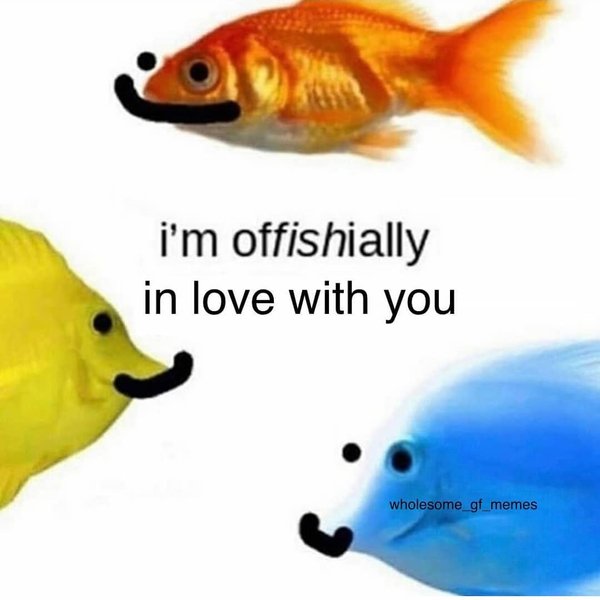 Thumbnail of p-b2bt8ytfeer-7be13de0d56f4024 0