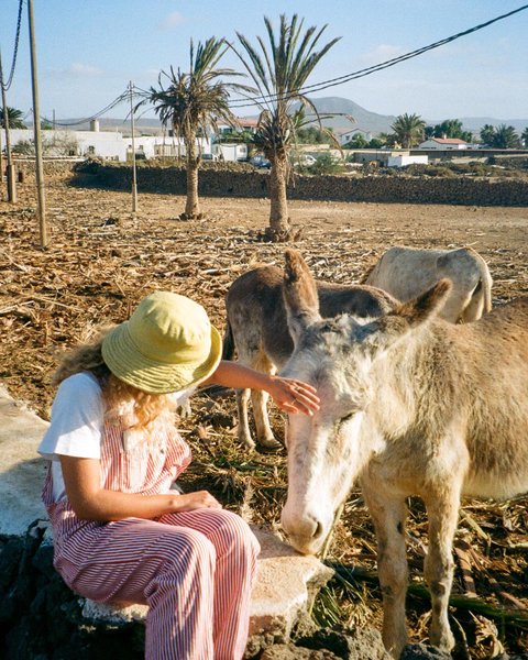 Thumbnail of cmha-flo7ml-7bf636d680374990 2