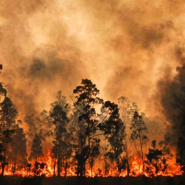 Thumbnail of p-b66db2snk5f-7c0e29d04a324259 0