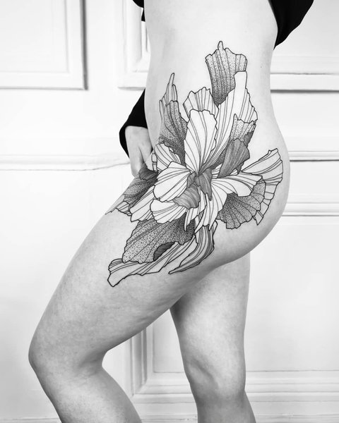 Thumbnail of p-b5fv40lotzb-7c9c779a5fd44d45 3