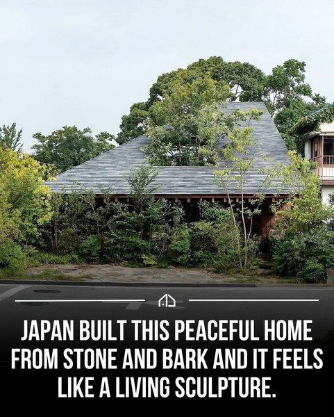 Thumbnail of dm-rc4mz2ap-7cc288156c794d13 0