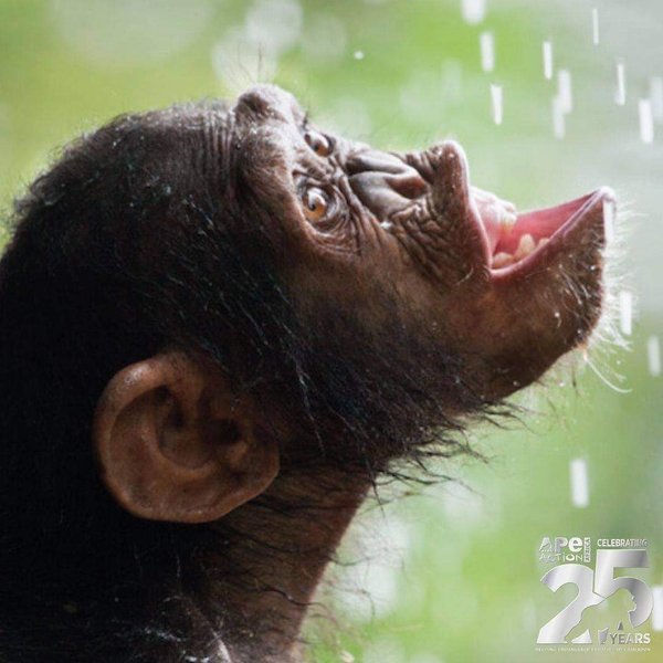 Thumbnail of p-chpqufbgbda-7ce4940a965c476e 0