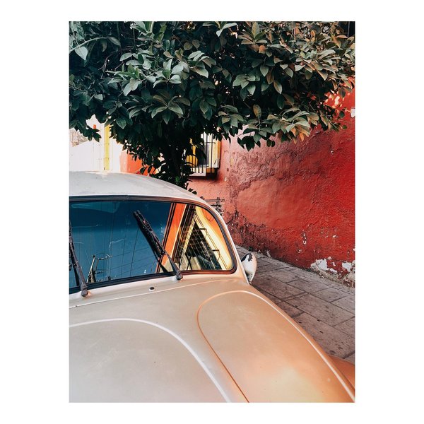 Thumbnail of p-b8hpwgvhieg-7ceadc1b4a7c4819 8