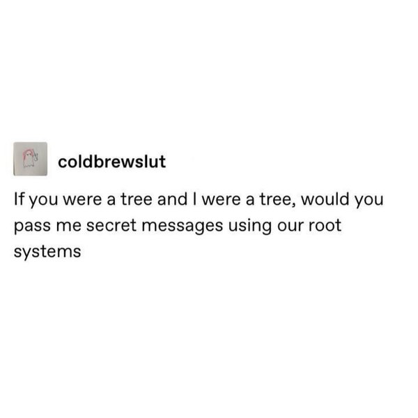 Thumbnail of p-dceoe0lmfhf-7d29d60d491e450b 2