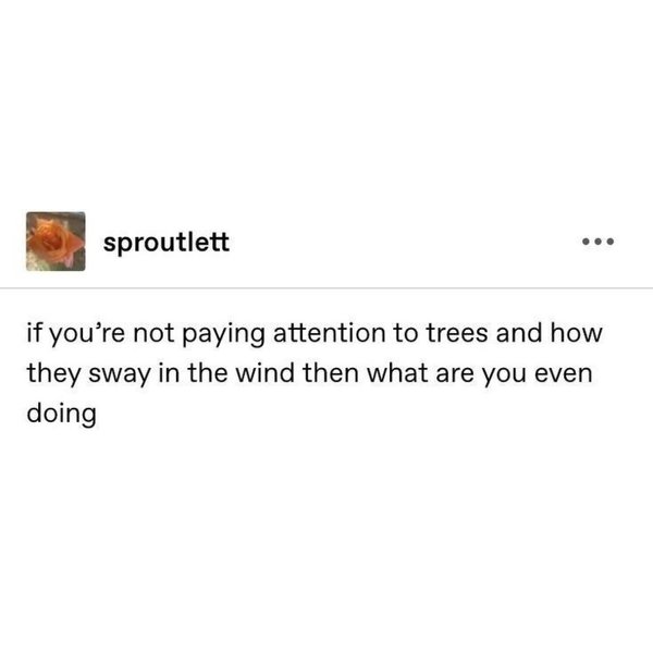 Thumbnail of p-dceoe0lmfhf-7d29d60d491e450b 3