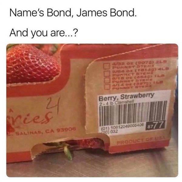 Thumbnail of p-b6cabqsft2o-7d2e3dd85321464b 0