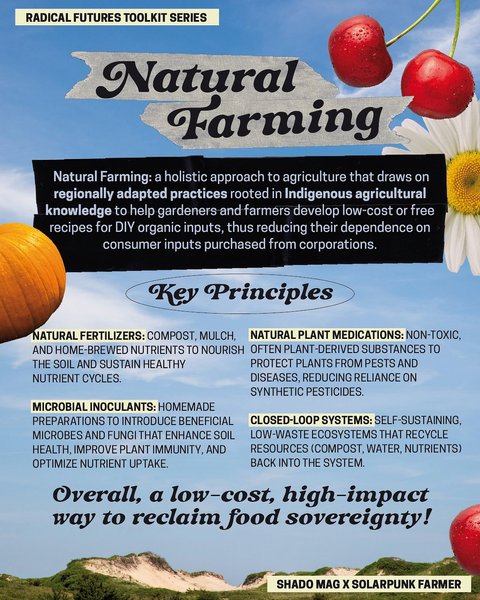 Thumbnail of p-ditddgqi89q-7d68aabebb8a46c1 10