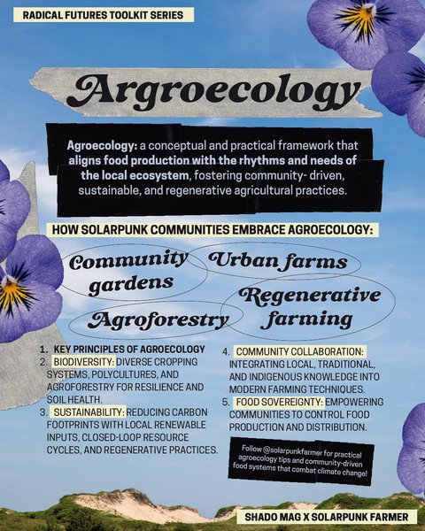 Thumbnail of p-ditddgqi89q-7d68aabebb8a46c1 4