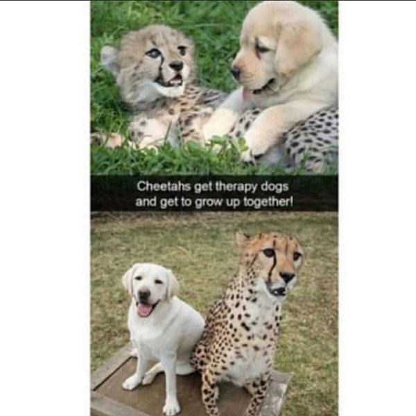 Thumbnail of b7mqmd-fcjs-7d9b21c77a074a78 0