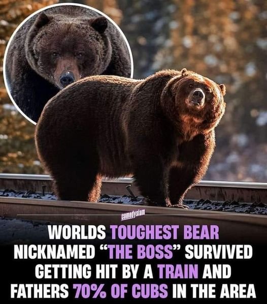 Thumbnail of www-x-com-high-t-memes-status-1745498337208369274-7dbb7caf31344604