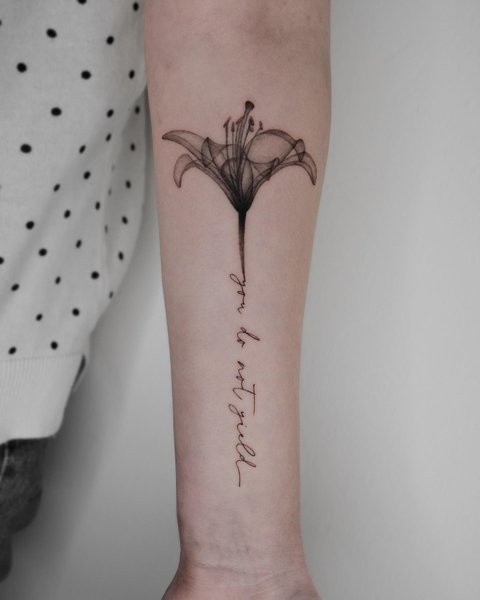 Thumbnail of p-chmy7kmpvlb-7dd60d078f9d4044 0