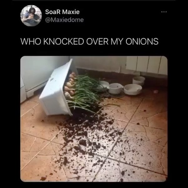 Thumbnail of p-cnlojbol5dt-7e17386d31634ea7 3