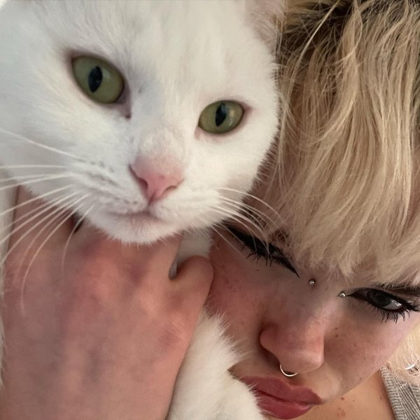 Thumbnail of p-cn7mmodshzt-7e47028451e14890 2