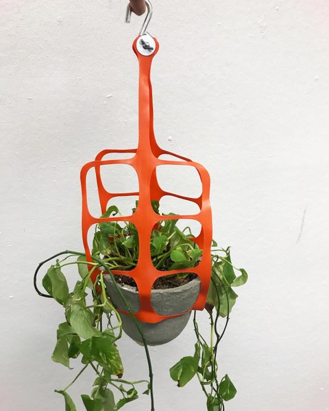 Thumbnail of p-bupjbzzlpzp-7e6832763a644ea4 0