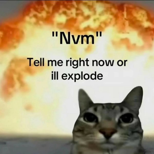 Thumbnail of p-dnreeyf5uza-7e8e2cf334e44b97 0