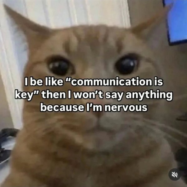 Thumbnail of p-dnreeyf5uza-7e8e2cf334e44b97 1