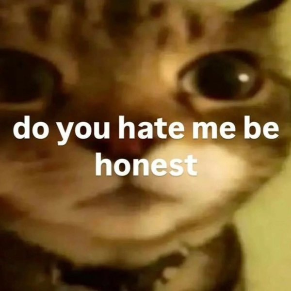 Thumbnail of p-dnreeyf5uza-7e8e2cf334e44b97 2