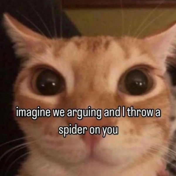 Thumbnail of p-dnreeyf5uza-7e8e2cf334e44b97 3