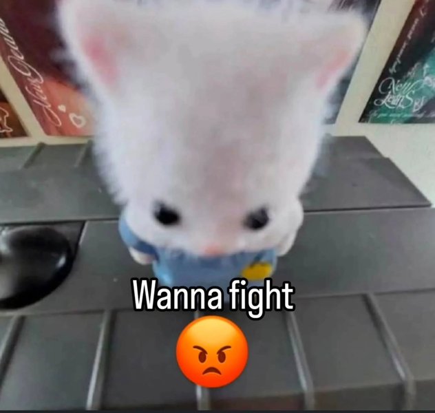 Thumbnail of p-dnreeyf5uza-7e8e2cf334e44b97 5