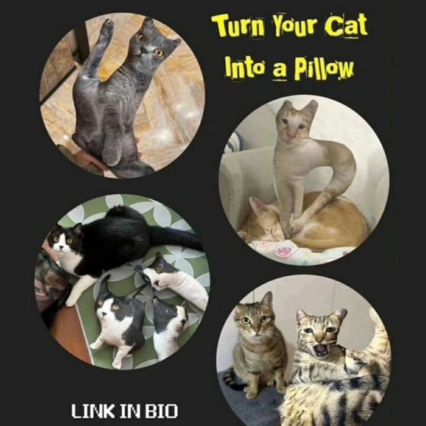 Thumbnail of p-dnreeyf5uza-7e8e2cf334e44b97 9