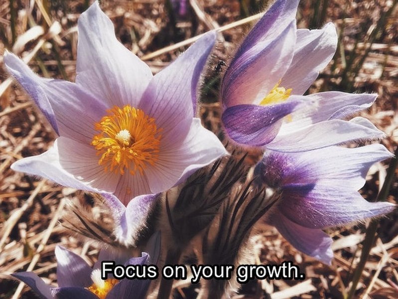 Thumbnail of c5ymd4xo-qi-7e9bac13906642b8 0