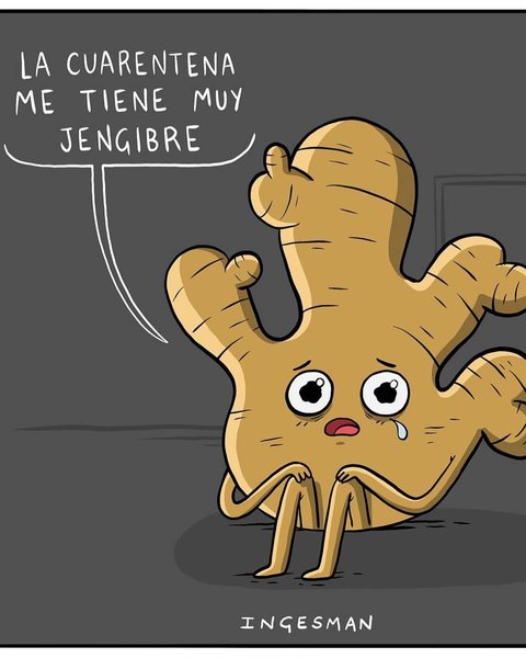 Thumbnail of p-ccx1tmrbkol-7e9c45b72414440d 4