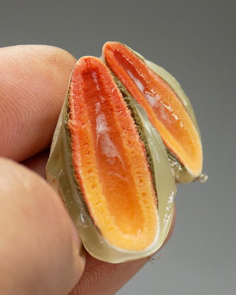 Thumbnail of p-bjyx7aabx7x-7eac3c7707e24319 1